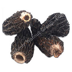 Manufacturers Exporters and Wholesale Suppliers of Dried Morel Mushrooms Kashmir Jammu & Kashmir